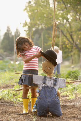 Tutti giù per terra: pic-nic di libri, festa al Teodorico, tosa delle pecore e giardini segreti