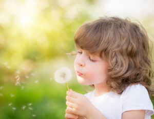 Happy child blowing dandelion