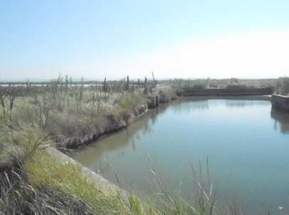 Nonno e nipotino annegano alle Saline di Cervia