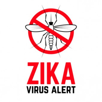 Zika virus alert. Moskit with phrase "Zika virus alert". Danger for pregnant. Zika virus.