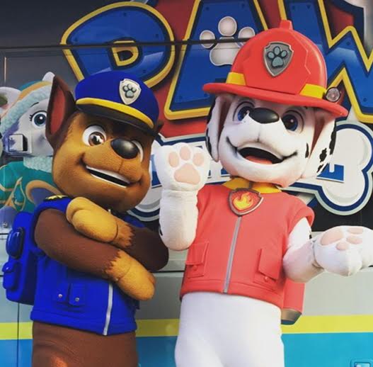 paw patrol savignano