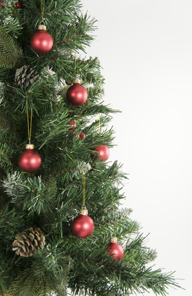 Natale a Ravenna, conto alla rovescia per l'accensione dell'albero in piazza