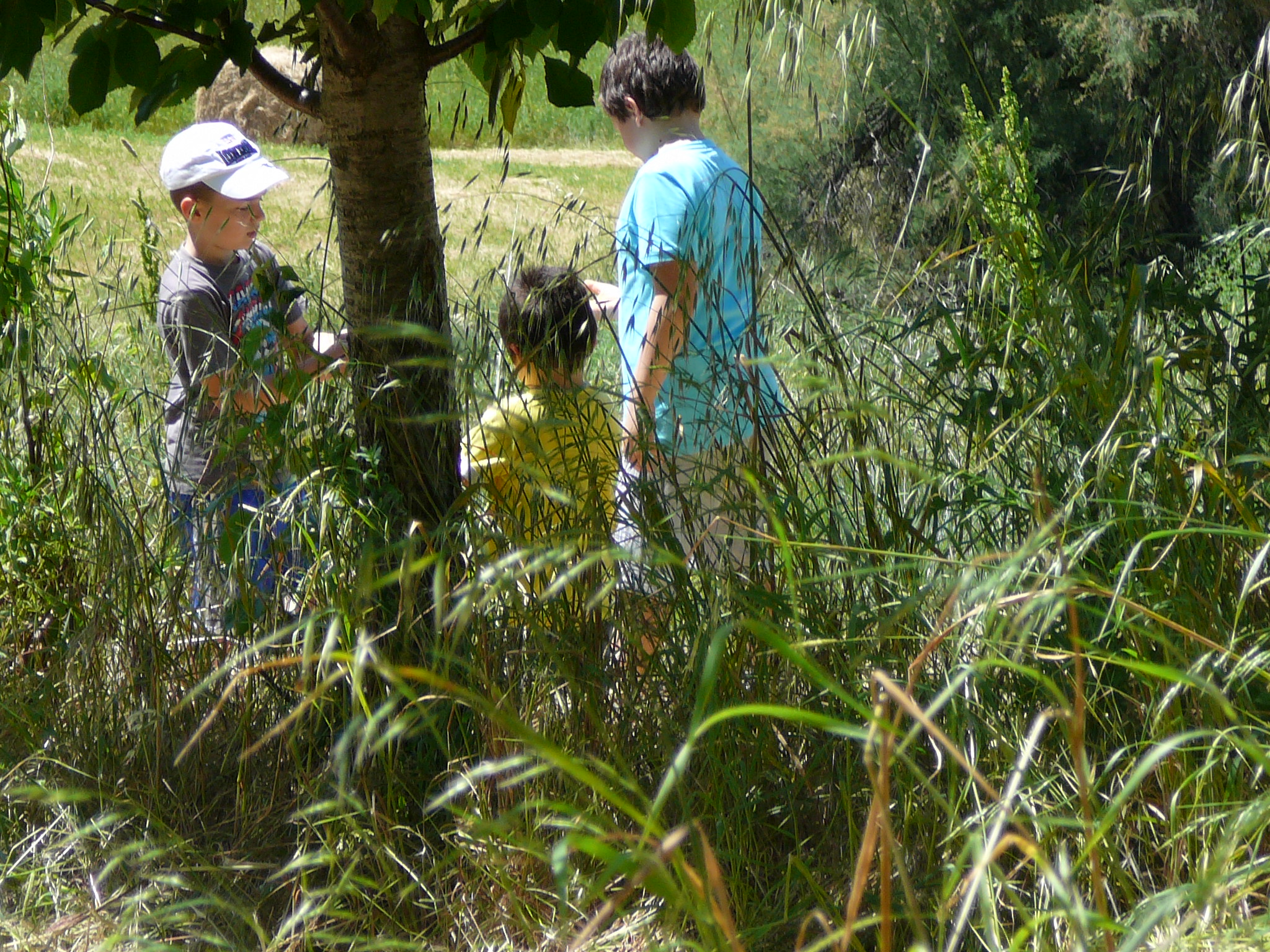 Una domenica dedicata al verde alla Fattoria Didattica Amaltea