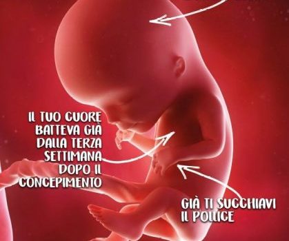 Manifesti anti-abortisti a Ravenna. L'assessore: "Campagna violenta"