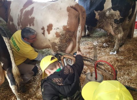 I bambini a scuola di Biodiversità al mercato agricolo di Campagna Amica